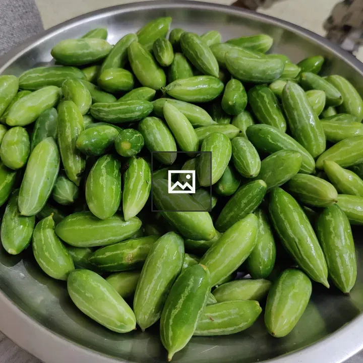 Fresh Ivy Gourd
