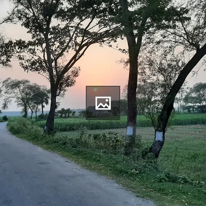 Village Landscape in Bangladesh