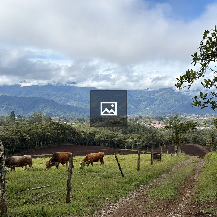 Pasture with grazing cows and mountains