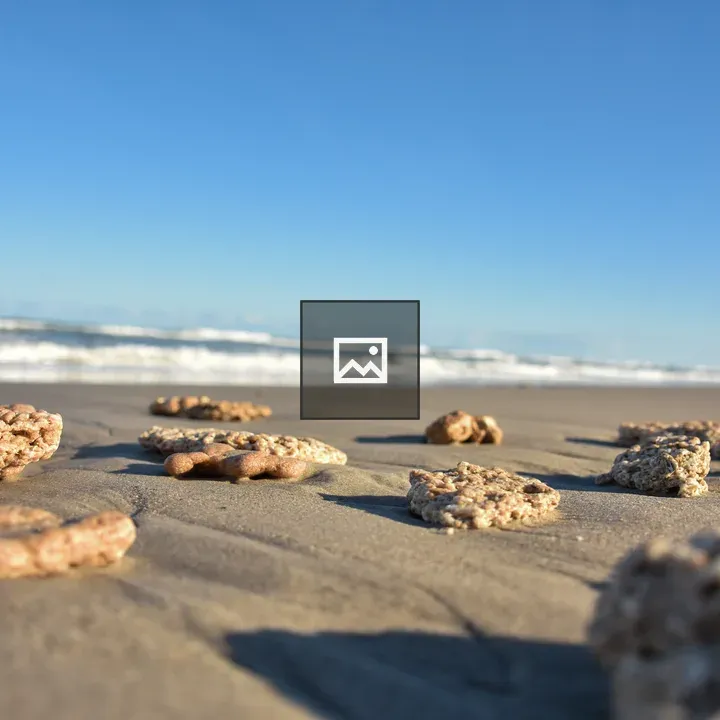 Coquina Stones on Beach