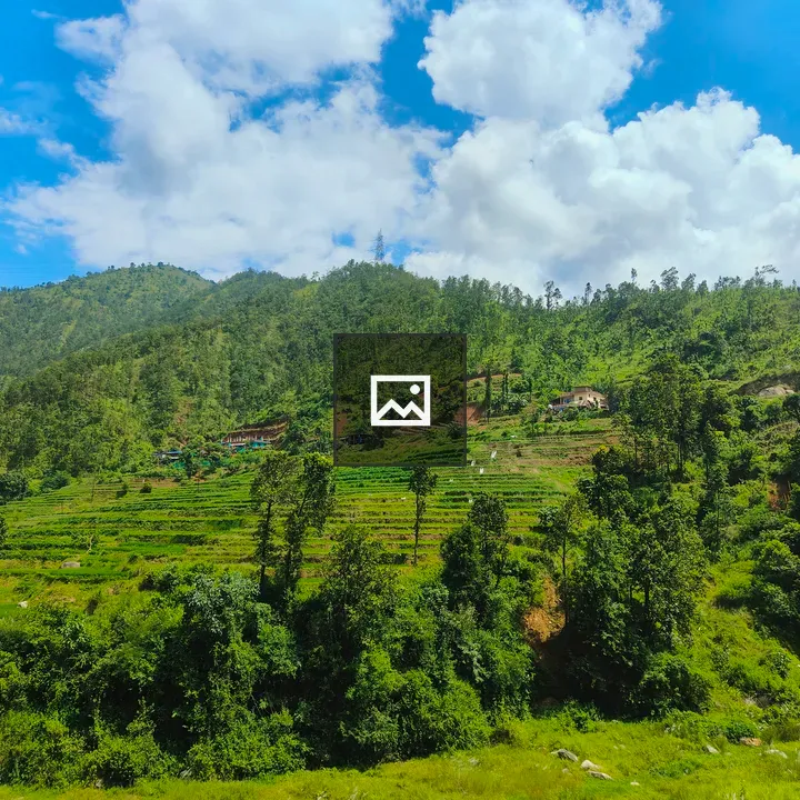 Terrace farming in Nepal