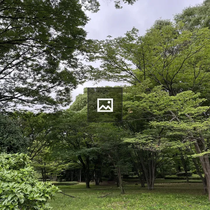 Heavily wooded lawn
