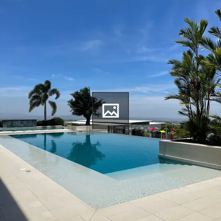 In-ground Pool with Palm Trees