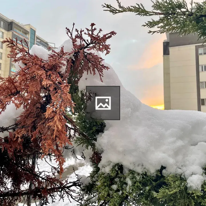 Snowy Branch and Building