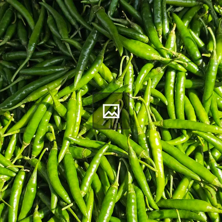 Close-up of green chilies