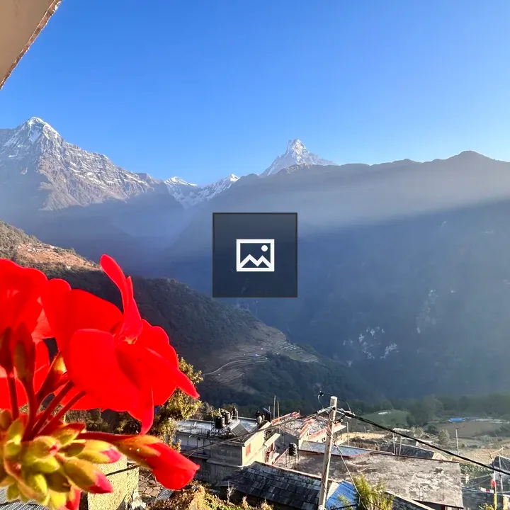 Red Flower with Mountain Backdrop