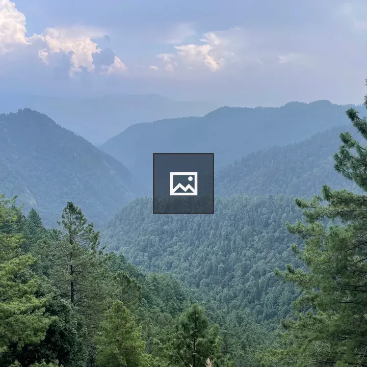 Nathia Gali Landscape with Trees