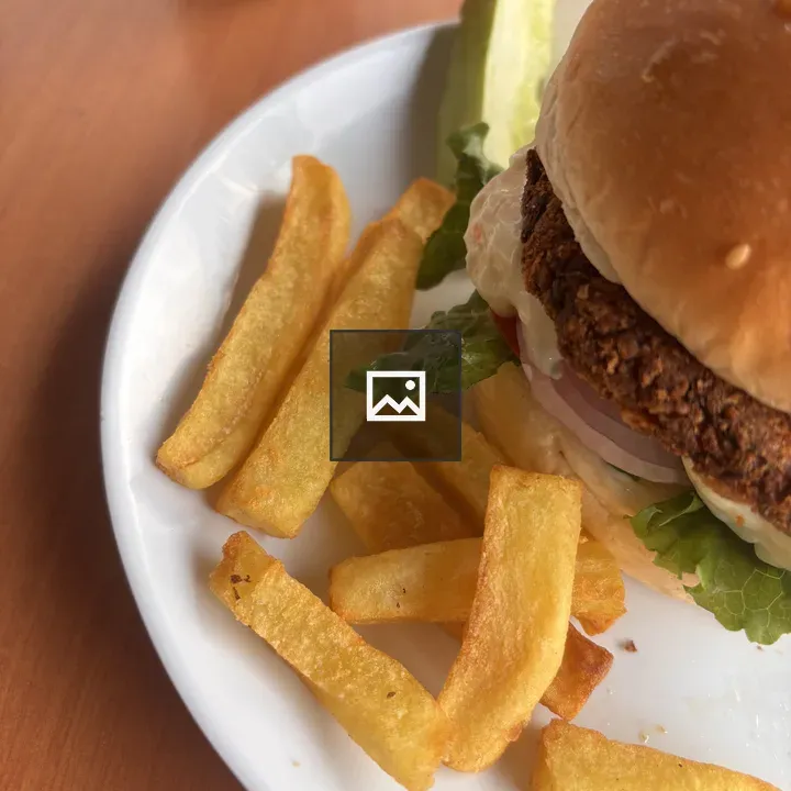 Juicy burger with fries