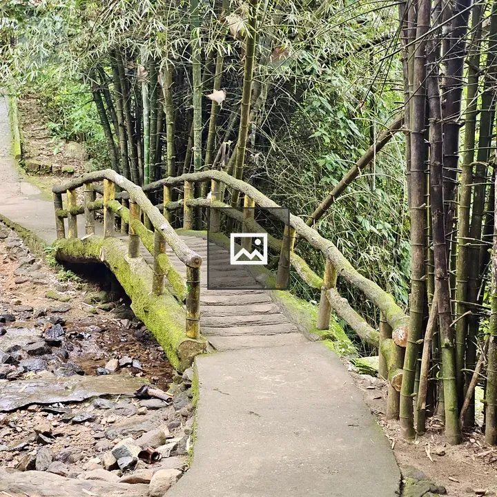 Mossy footbridge with bamboo rails