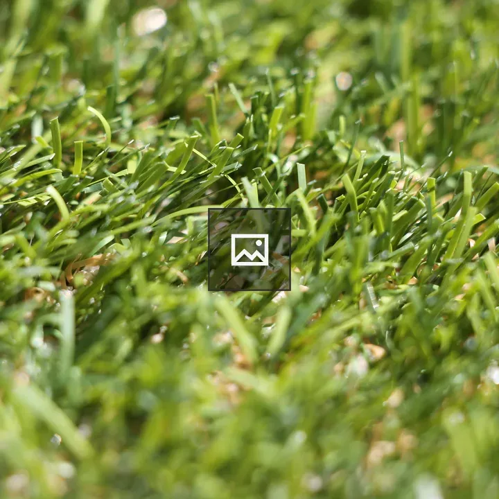 Close-up of astroturf