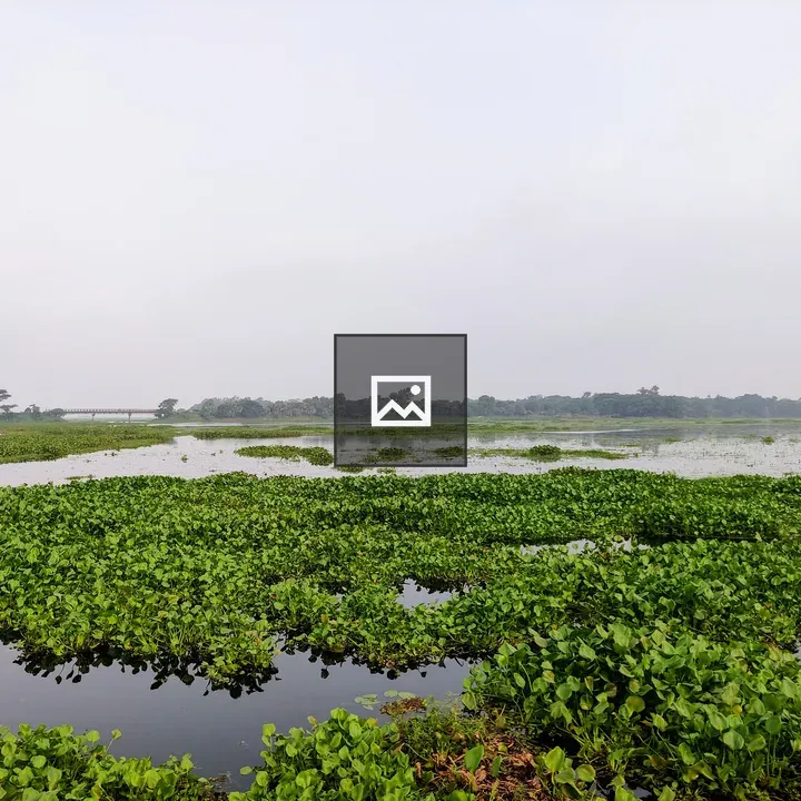 Small river in Gazipur