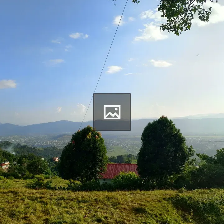 Scenic landscape with hills and trees