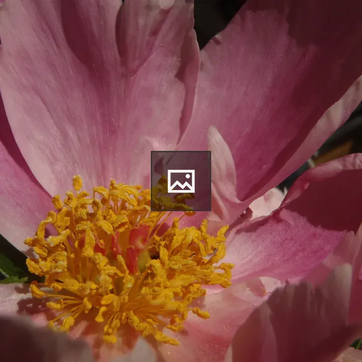 Flower center