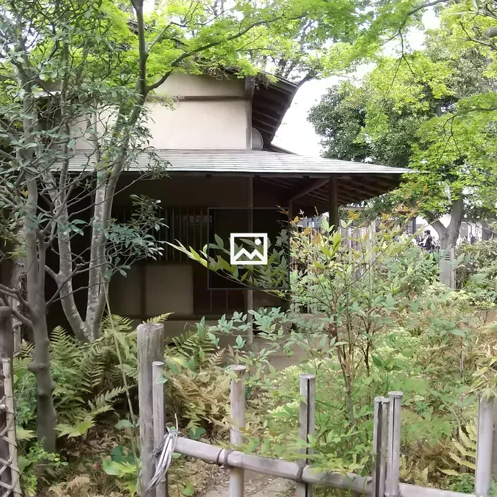 Traditional tea house surrounded by greenery