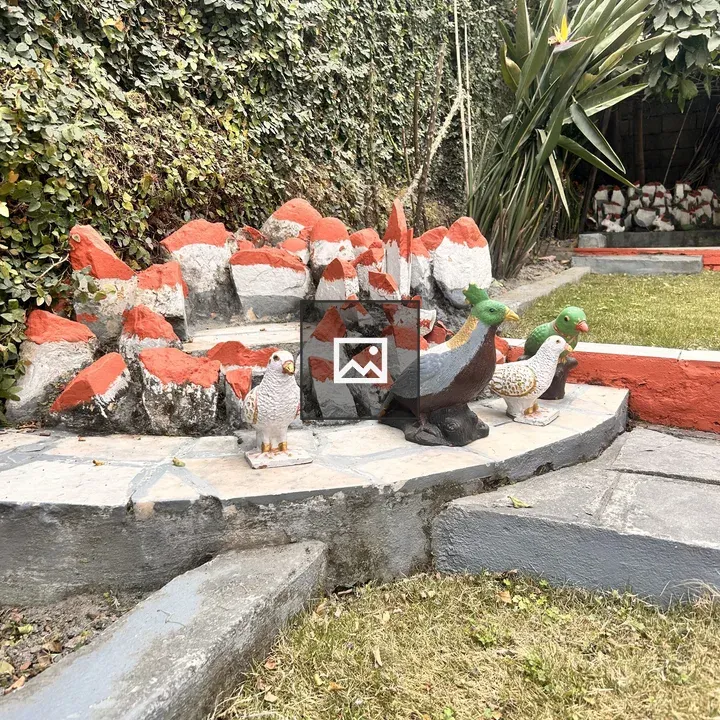 Garden stone bird sculptures