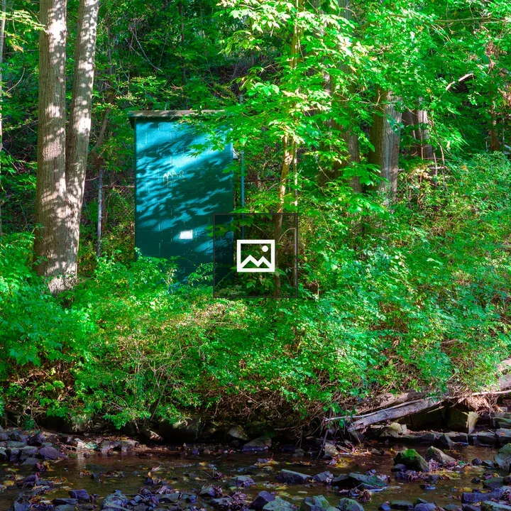 Cement monolith in the forest