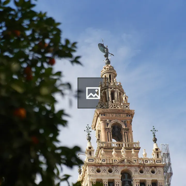 La Giralda with Orange Tree