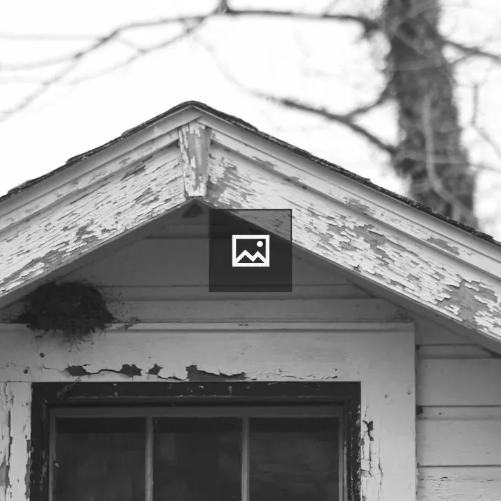 Bird's nest on white house