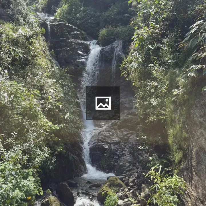 Waterfall in Green Foliage