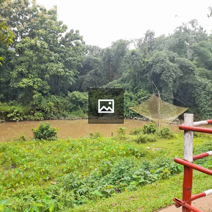 River with lush riverside vegetation