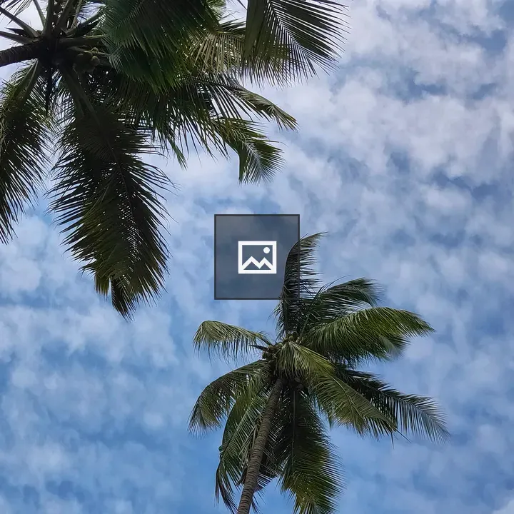 Blue Sky with Palm Tops