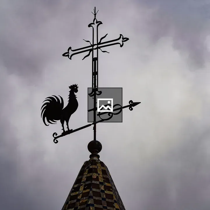 Weather vane rooster silhouette