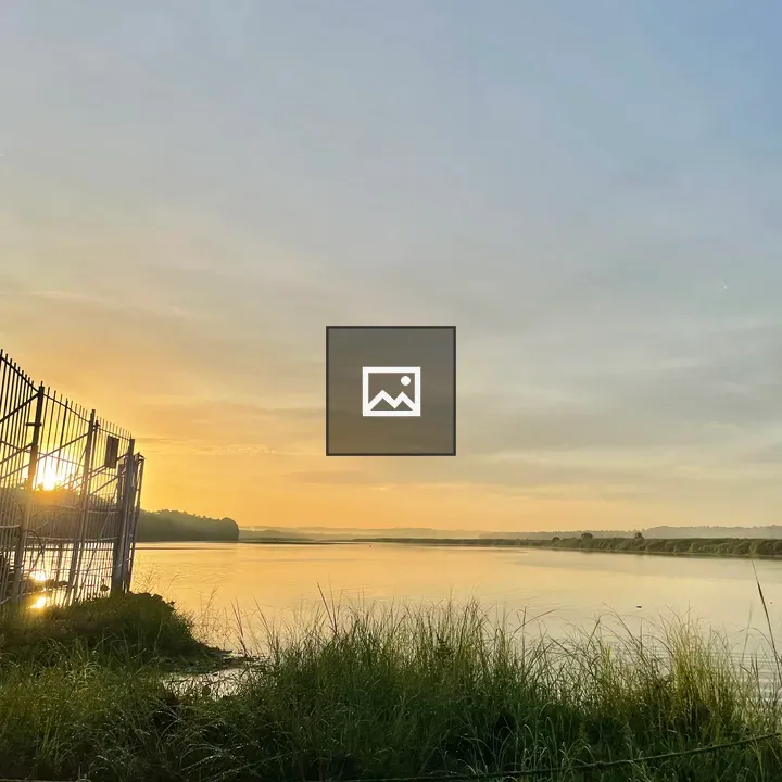 Sunrise through fences on river bank