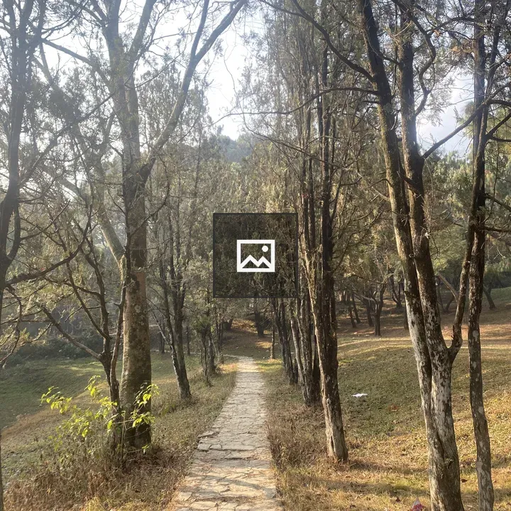 Pathway of stones in Tribhuwan Park