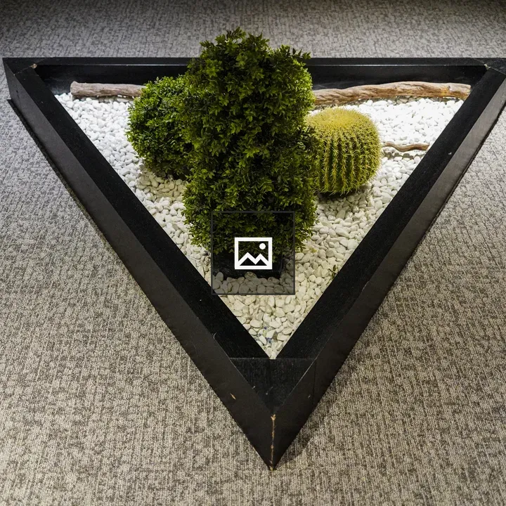 Triangular Zen Garden in a Room