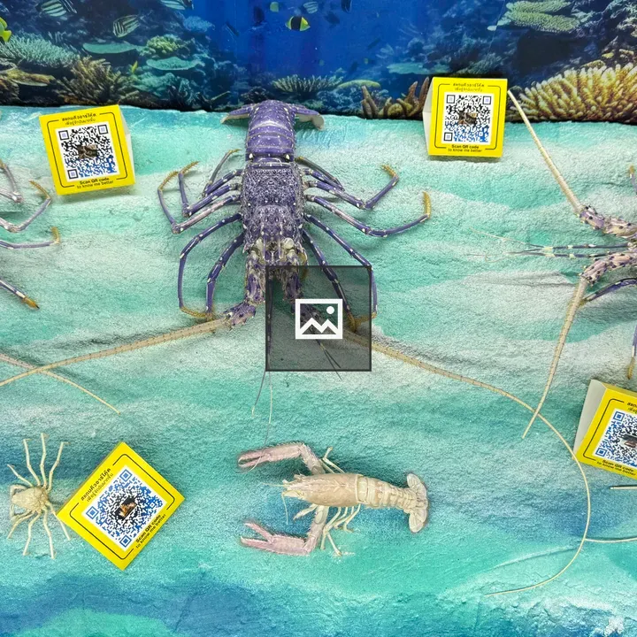 Blue Lobsters Display