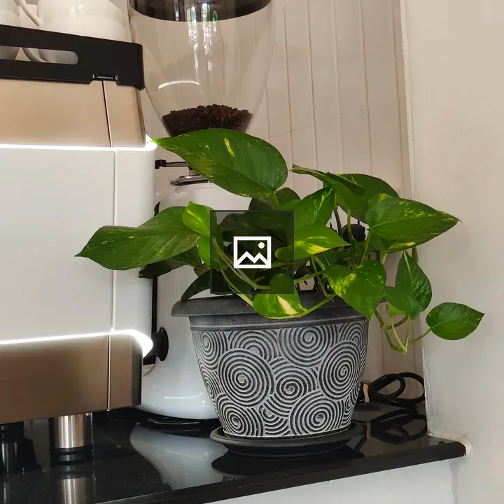 Modern kitchen countertop coffee setup