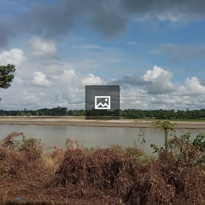 Brahmaputra River Scene