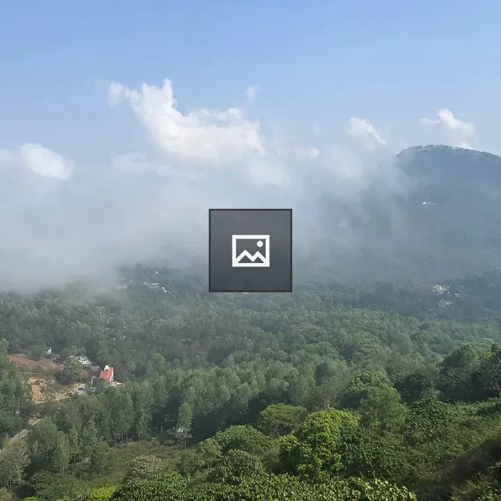 Valley with Clouds and Forest
