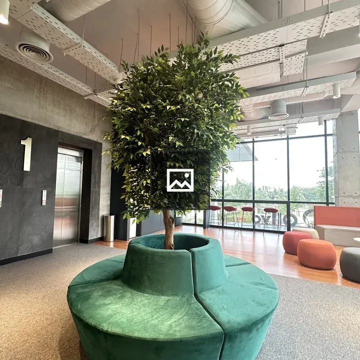 Plant in Office Building