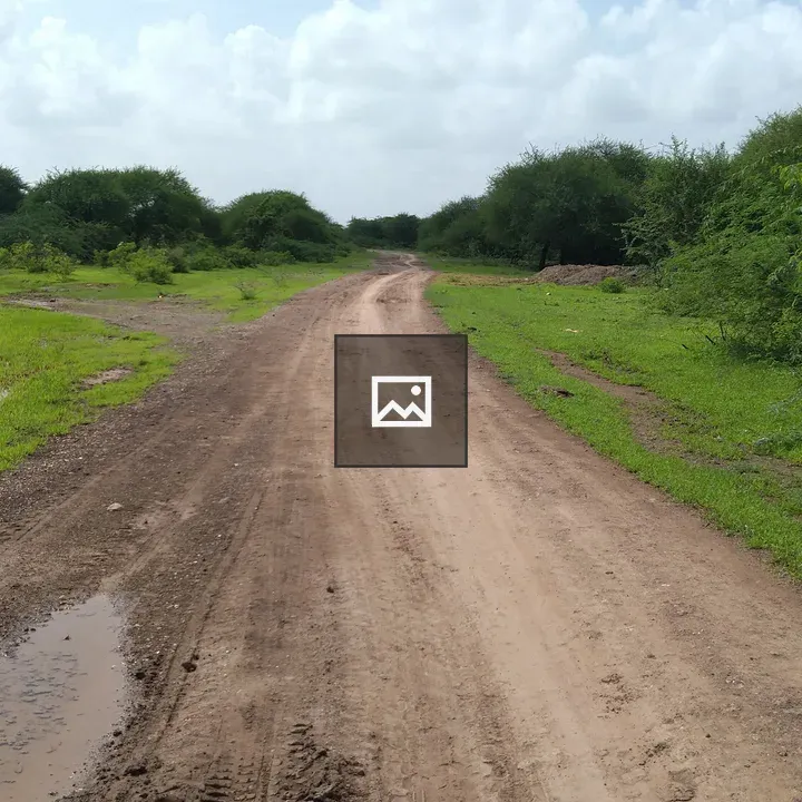 Dirt Road Through Green Landscape