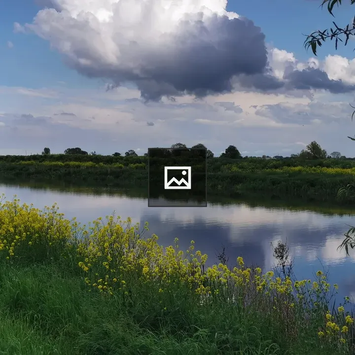 River bank reflections