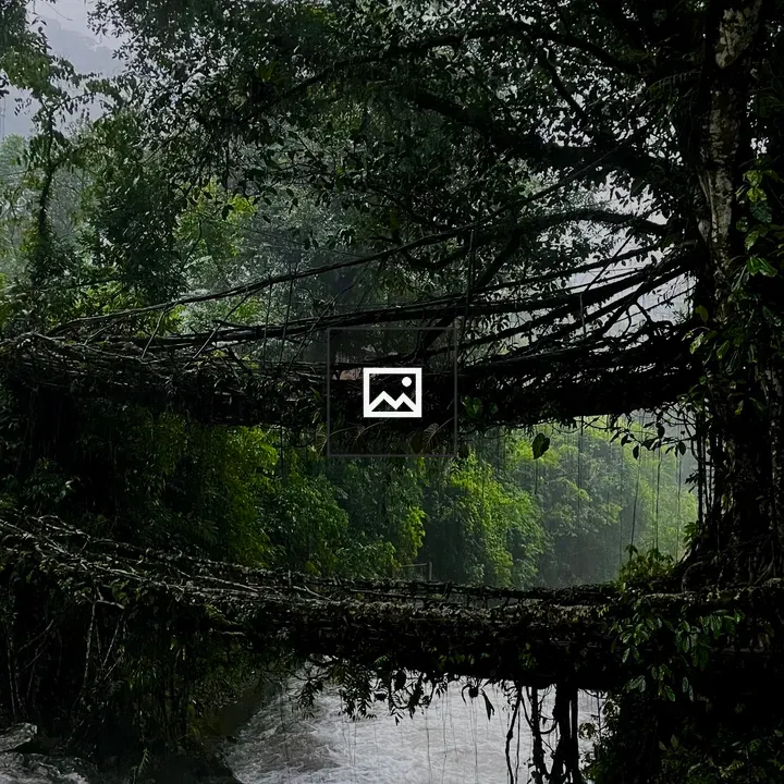 Double decker living root bridge