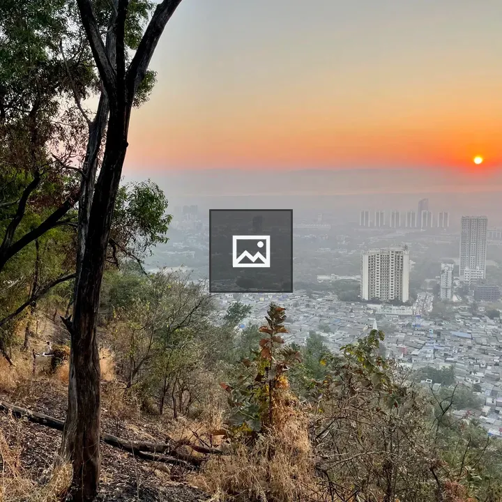 Sunrise Over City and Trees