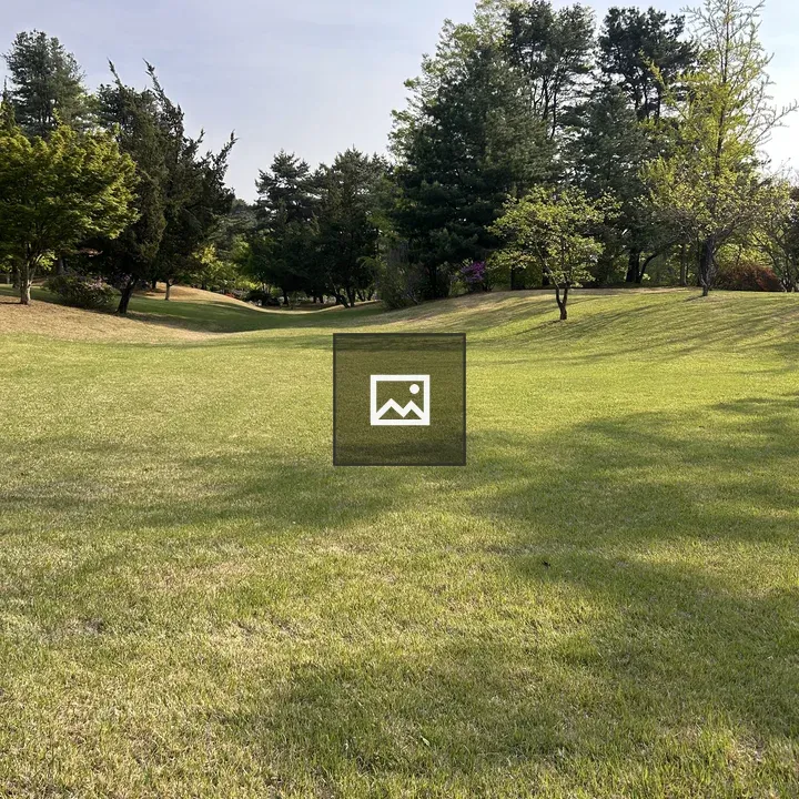 Green Meadow Landscape