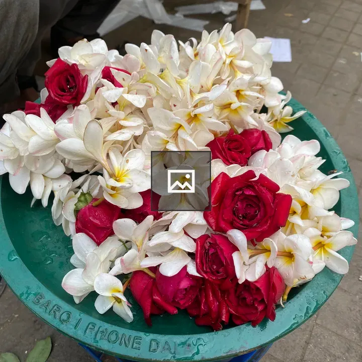 Green container with mixed flowers