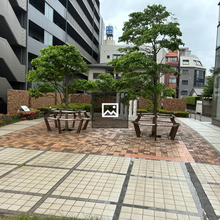Patio with Circular Benches under Trees