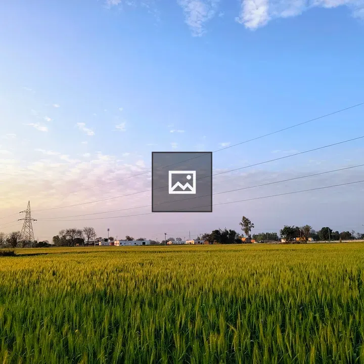 Field of green crops