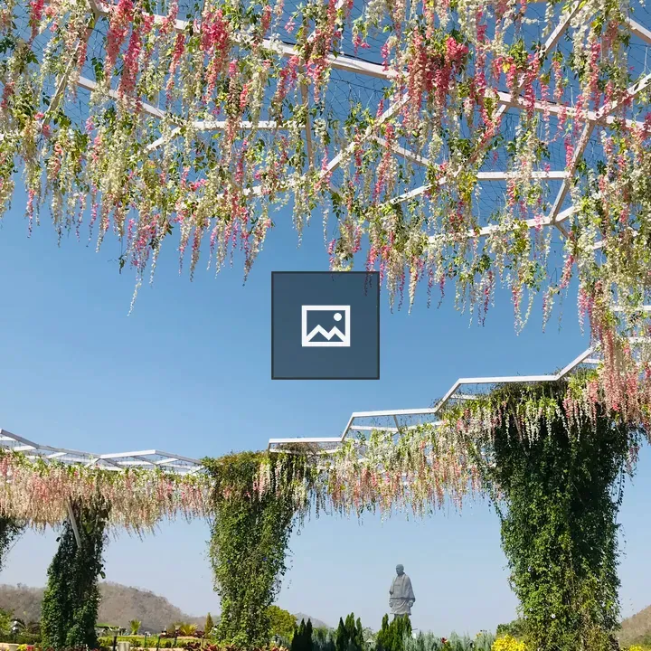 Flowers and Sky in Nature