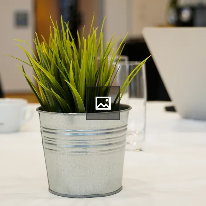 Small potted plant on white table