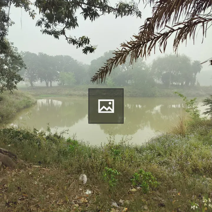 Green Pond with Trash in Grass