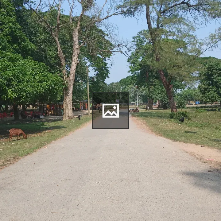 Rural nature scene