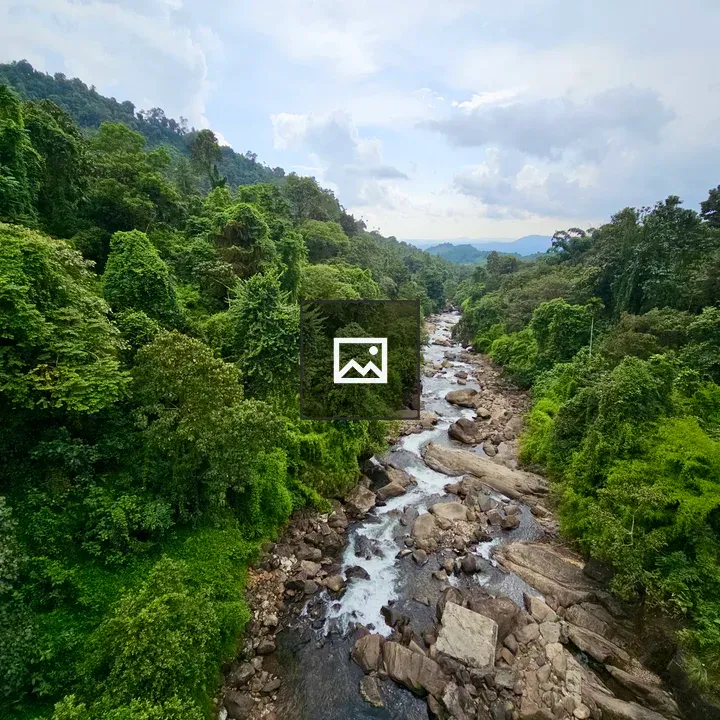 Chalipuzha River Overlook