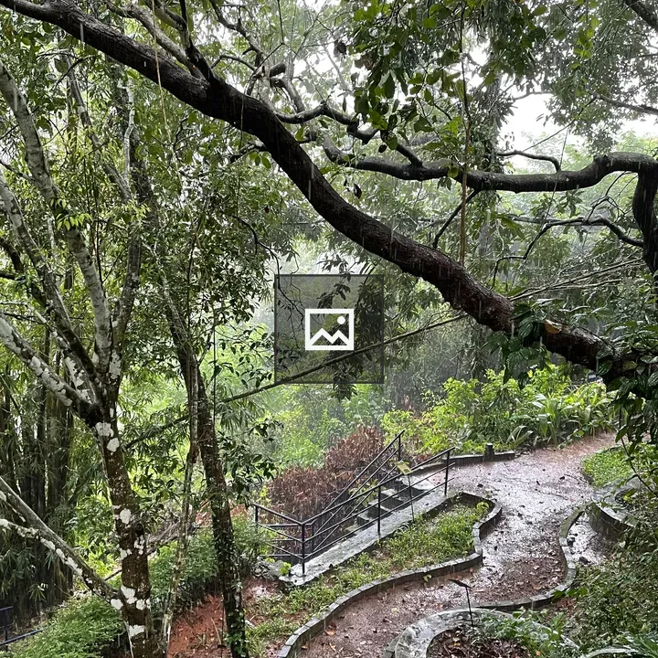 Forest Path with Stairs