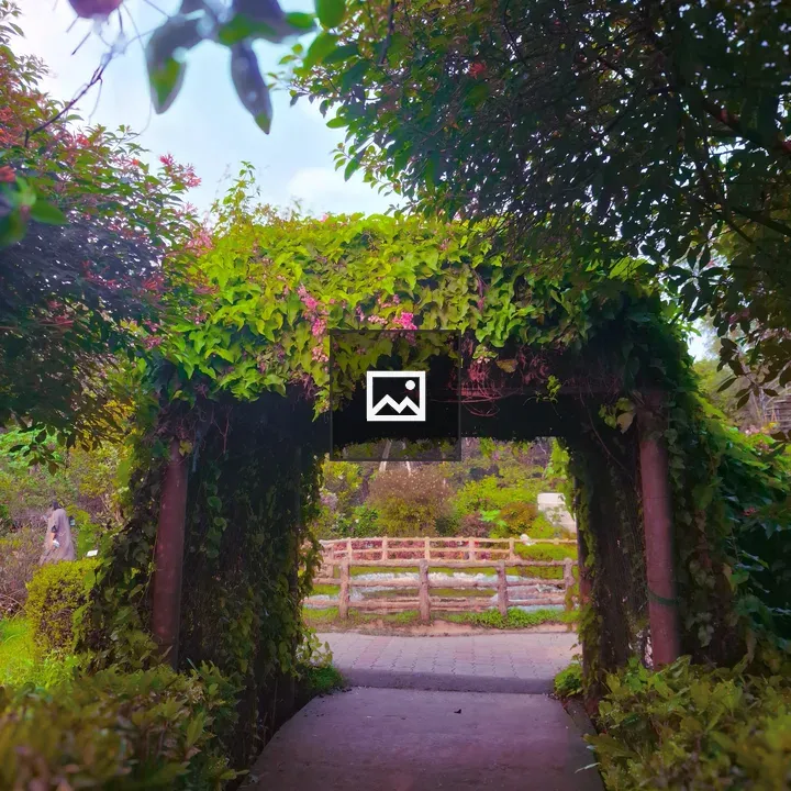 Entrance Covered with Leafs and Trees