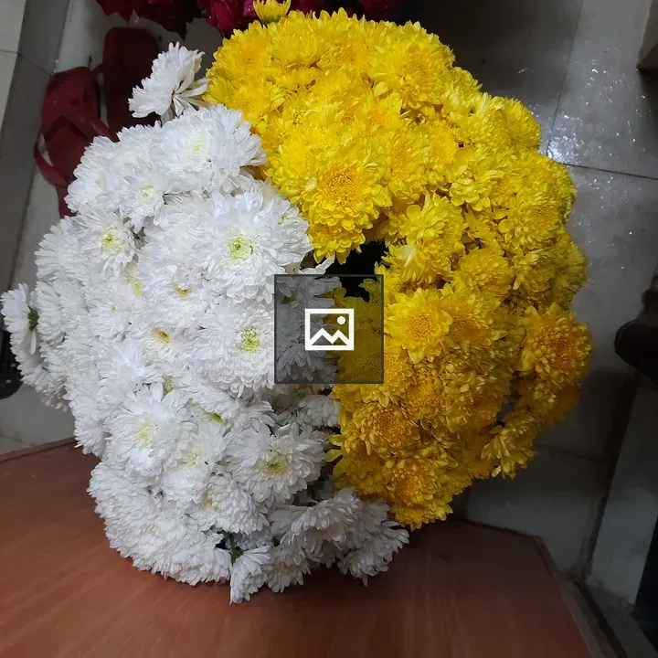 White and yellow flowers